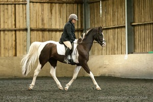 Isis Dressage Crown Farm Show 29th April 2012